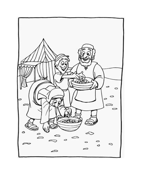 Manna And Quail Coloring Page Free Bible Coloring Pag