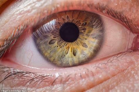 Incredible Photographs Reveal Stunning Unique Quirks Of Our Eyes Aesthetic Eyes Beautiful