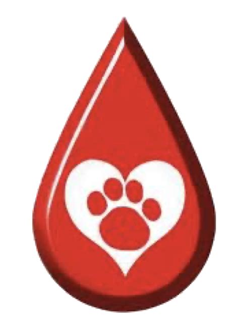 Faq Canine Blood Donors — Rangiora Vet Centre