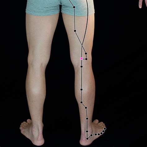 Acupressure Points For Sciatica Most Effective Acupressure Points For Sciatica And Sciatic