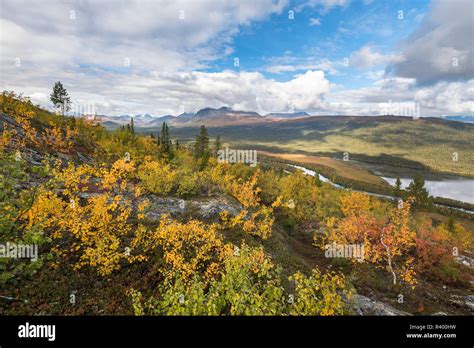 View To The Mountains Of Sarek National Park Autumn Vegetation