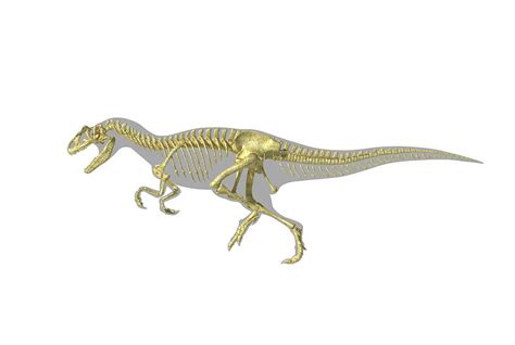 Allosaurus Dinosaur Skeleton Photograph By Leonello Calvettiscience
