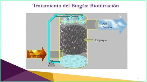 Biofiltros Una Oportunidad Para Incrementar El Aprovechamiento Del
