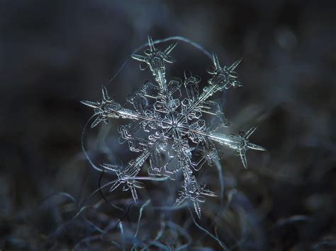 Photography Snowflakes By Alexey Kljatov Art For Your Wallpaper