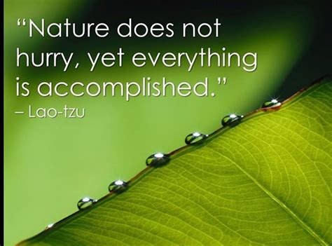 Nature Does Not Hurry Yet Everything Is Accomplished Lao Tzu