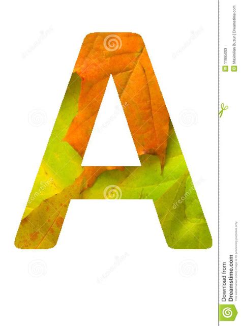 Select from 178242 premium alphabet of the highest quality. Bio alphabet stock image. Image of maple, creativity - 11895003