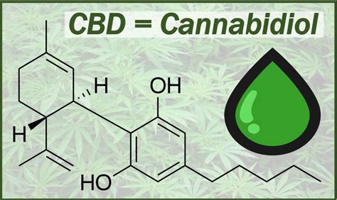 What Is Cbd Or Cannabidiol Definition And Examples
