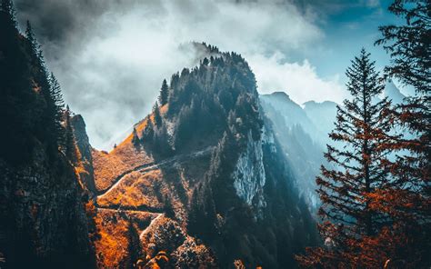 Download Wallpaper 1440x900 Mountain Peak Trees Clouds