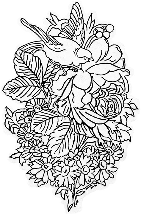 Tips and techniques to draw your favorite flower with many examples using pen and ink. Lilac & Lavender: Vintage Bird & Flowers ~ Clip art
