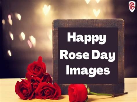 The Ultimate Collection Of 4k Rose Day Images Over 999 Stunning Choices