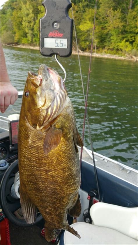 Caught A Smallmouth Bass On Seneca Lake