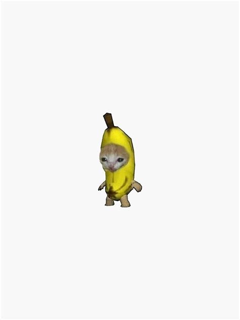 Pegatina Gato Banana De Abbex Redbubble Banana Funny Cat Memes