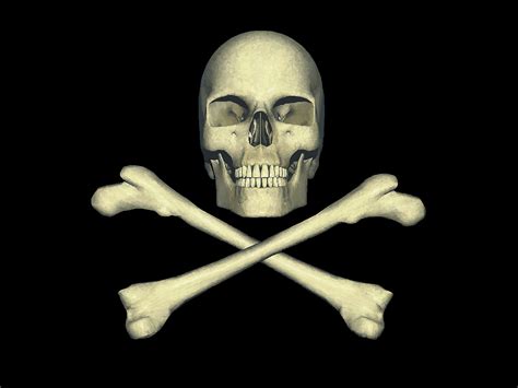 Free Skull And Bones Download Free Skull And Bones Png Images Free
