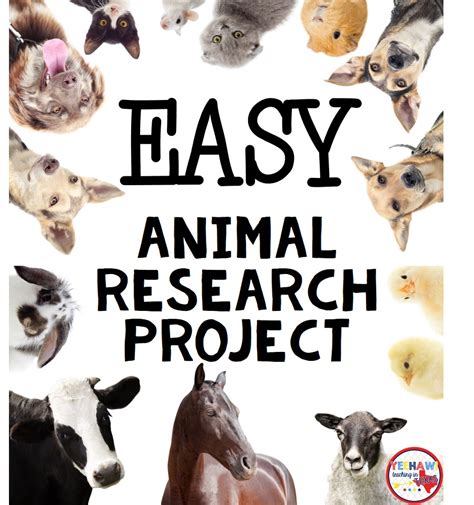 Easy Animal Research Project Sarah Chesworth