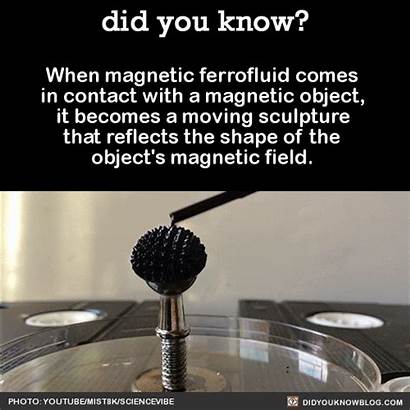 Science Facts Did Know Awesome Ferrofluid Fun