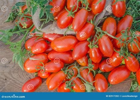 Productive Plum Tomato Stock Photo Image Of Nutrition 82917282