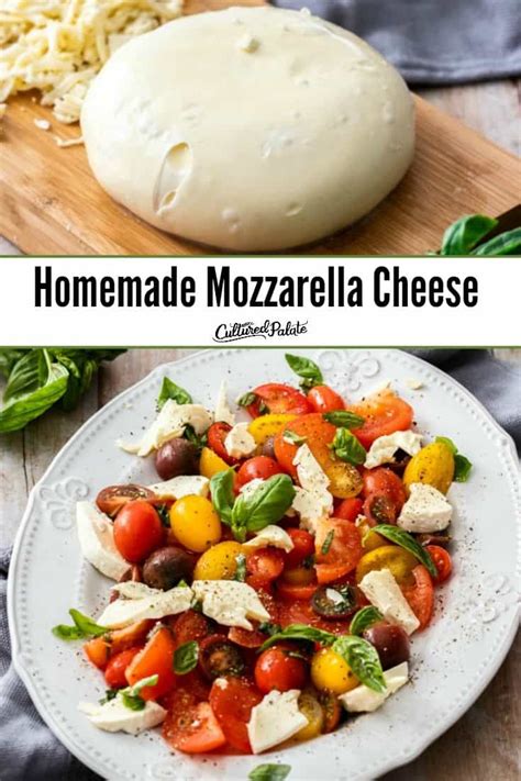 Homemade Mozzarella Cheese Recipe Recipes With Mozzarella Cheese