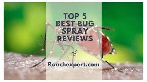 Pest expert formula c flea spray 1ltr. Best Bug Spray Treatments Reviews for Home Pest Control