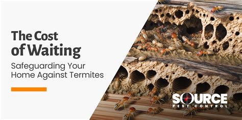 The Cost Of Waiting Safeguarding Your Home Against Termites