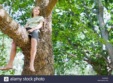 Kind Im Baum Stockfotos Und Bilder Kaufen Alamy