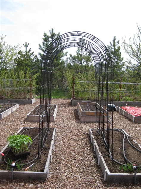 Pole Bean Trellis Idea Susans In The Garden