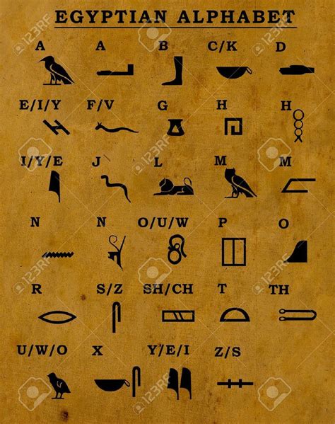 4590095 Egyptian Old Alphabet On Old Paper Stock Photo Hieroglyphs