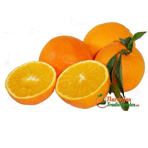 Buy 10 Kg Of Our Excellent Navel Orange From Valencia