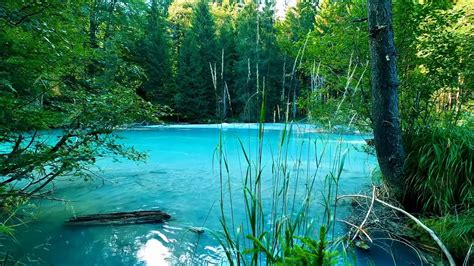 Calming Turquoise River In The Forest Relaxing Water Sounds 10 Hours