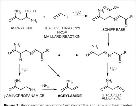 Food products containing high concentrations of acrylamide. PDF Acrylamide in Food Products: A Review | Semantic Scholar