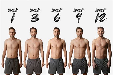 12 week body transformation home workout plan art