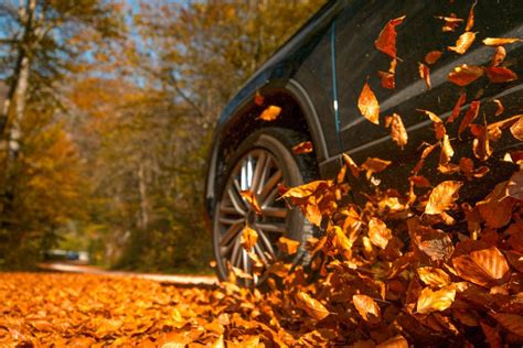 Driving In The Fall Season Drivers Education