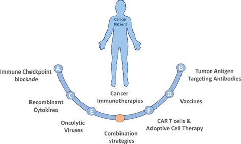 Frontiers Next Generation Immunotherapies To Improve Anticancer Immunity