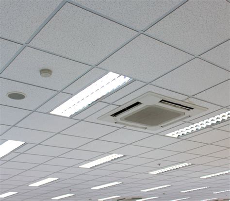 They have many uses, the protection of the. Acoustical Ceilings - Roadkill Inc.