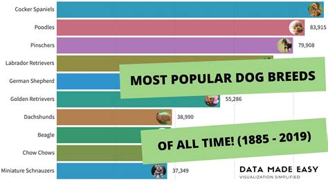 Bar Chart Race Video Most Popular Dog Breeds Of All Time 1885 2019