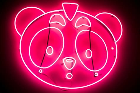 The Neon Panda Sean Davis Flickr Neon Lighting Panda Neon Signs