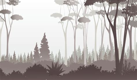 Premium Vector Foggy Forest View