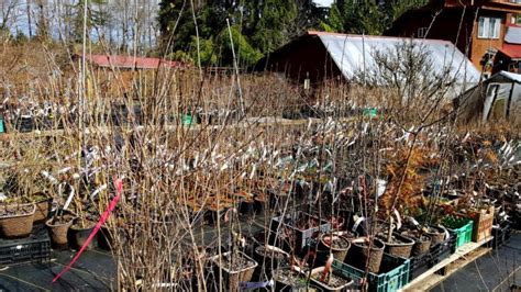 Burnt Ridge Nursery And Orchards Eat Local First