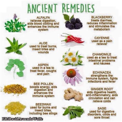 Pin By Aanda On Healthy Natural Herbal Remedies Herbalism Herbs For