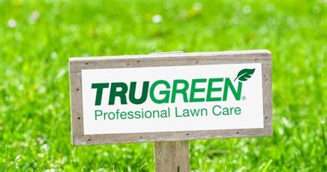 How Much Does Trugreen Cost Your Realistic Pricing Guide