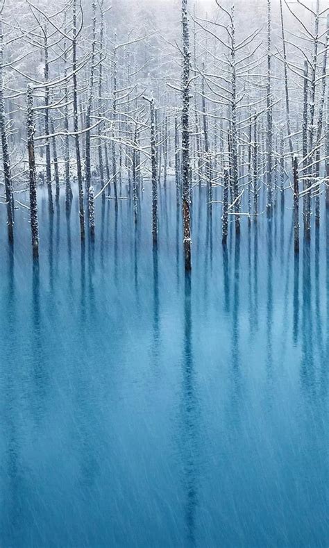 Trees In Frozen Lake Wplockscreens