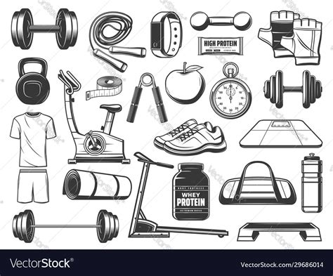Fitness Sport And Gym Tools Exercise Equipment Vector Image 51 Off