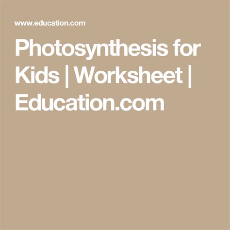 Jellylike substance that fills the cell nucleus: Photosynthesis for Kids | Compound words, Photosynthesis ...
