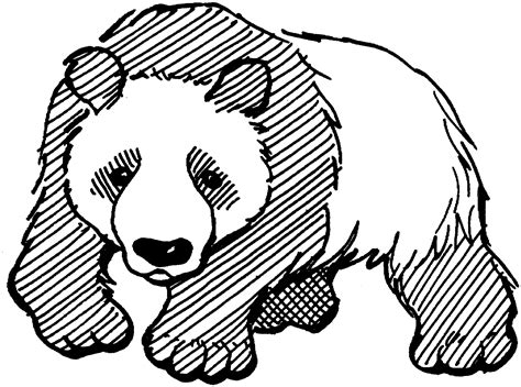 Panda 21 Animales Páginas Para Colorear