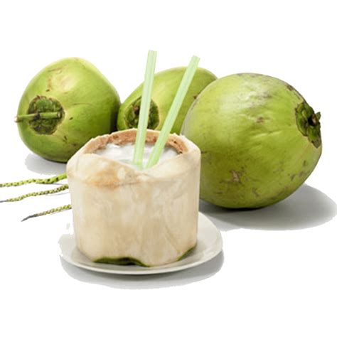 Fresh Coconut Gia Gia Nguyen Co Ltd