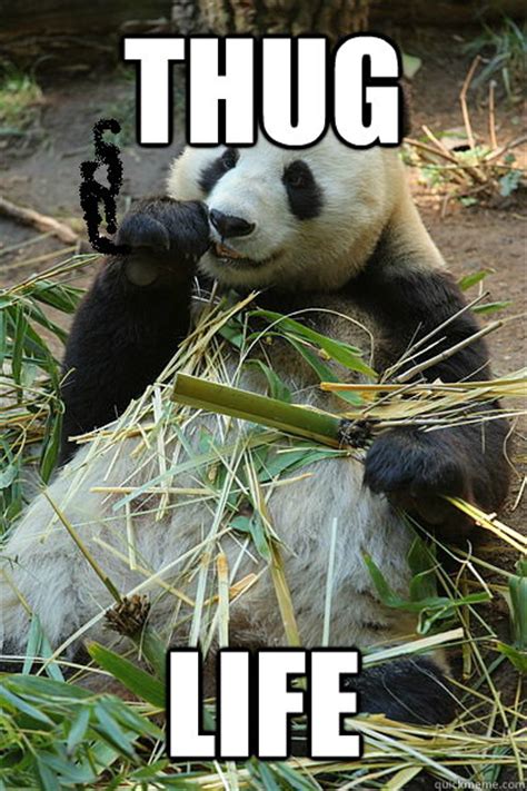 Panda Thug Life Memes Quickmeme