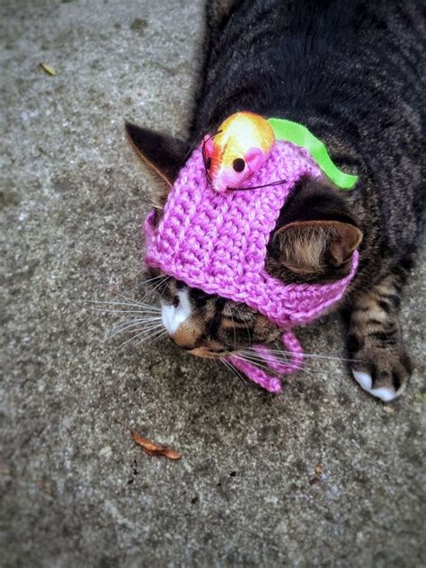 Halloween Costume Cat Hat Pet Hat With Mouse Crochet Unique Etsy
