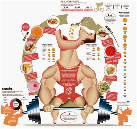 Centro De Especialidades M Dicas Medisocial Plan De Alimentaci N Para