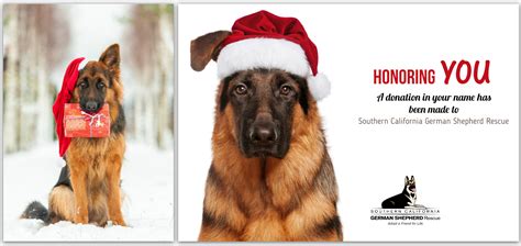 The international rescue committee is a global humanitarian aid, relief, and development nongovernmental organization. Holiday Gift Acknowledgement Cards Available for 2018 - Southern California German Shepherd Rescue