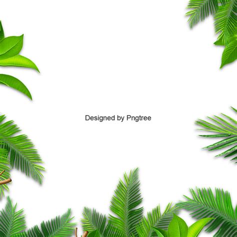 Pikpng encourages users to upload free artworks without copyright. art: Transparent Jungle Leaves Clipart