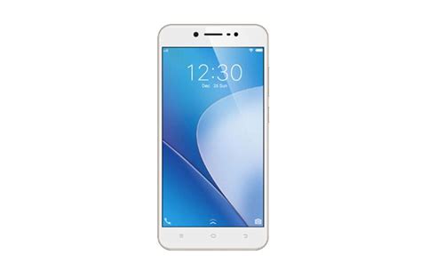 Vivo Y66 With 16mp Front Camera 3000mah Battery Launched At Rs 14990